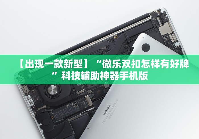 【出现一款新型】“微乐双扣怎样有好牌”科技辅助神器手机版