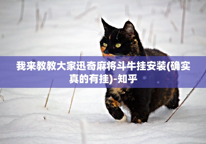 我来教教大家迅奇麻将斗牛挂安装(确实真的有挂)-知乎