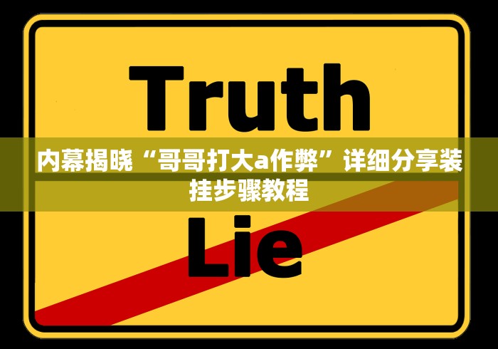 内幕揭晓“哥哥打大a作弊	”详细分享装挂步骤教程