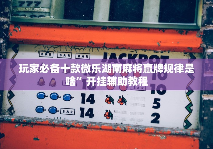 玩家必备十款微乐湖南麻将赢牌规律是啥	”开挂辅助教程