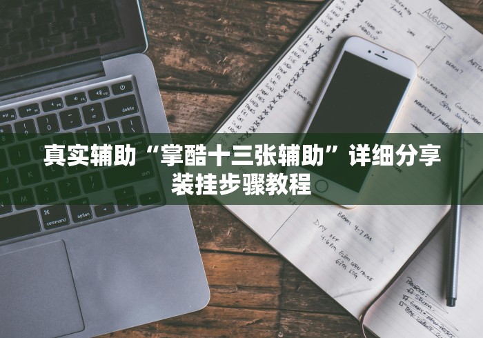 真实辅助“掌酷十三张辅助	”详细分享装挂步骤教程