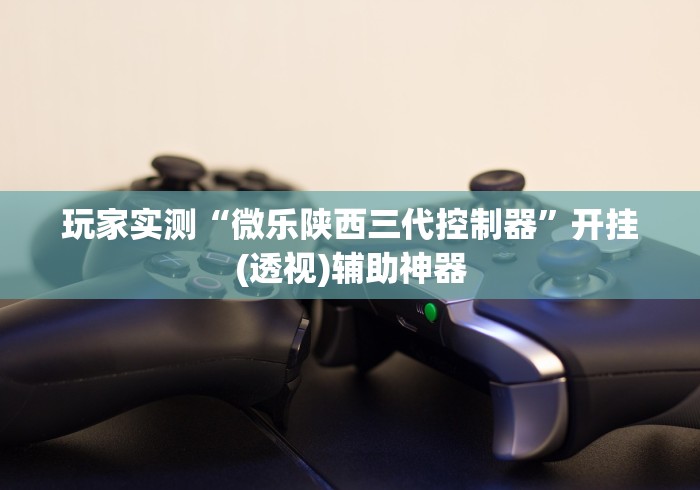 玩家实测“微乐陕西三代控制器”开挂(透视)辅助神器