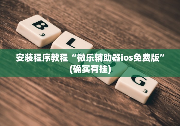 安装程序教程“微乐辅助器ios免费版”(确实有挂)