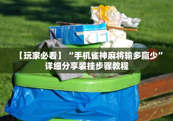 【玩家必看】“手机雀神麻将输多赢少”详细分享装挂步骤教程