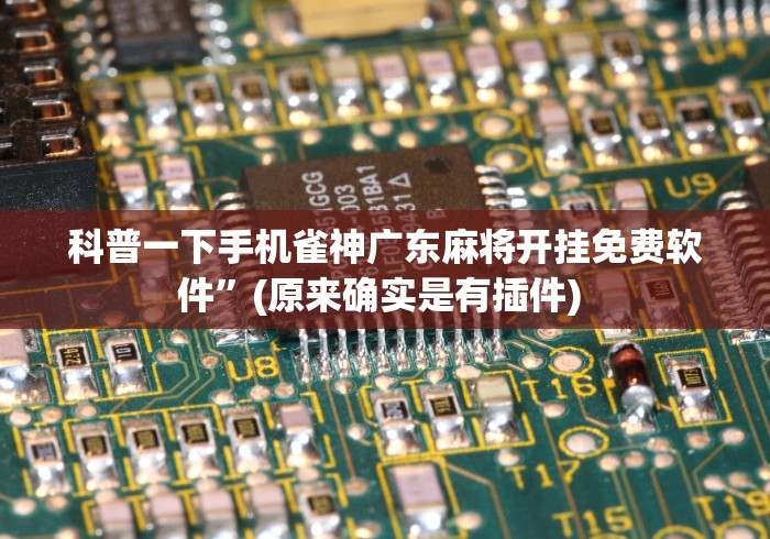 科普一下手机雀神广东麻将开挂免费软件”(原来确实是有插件) 