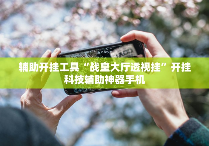 辅助开挂工具“战皇大厅透视挂”开挂科技辅助神器手机