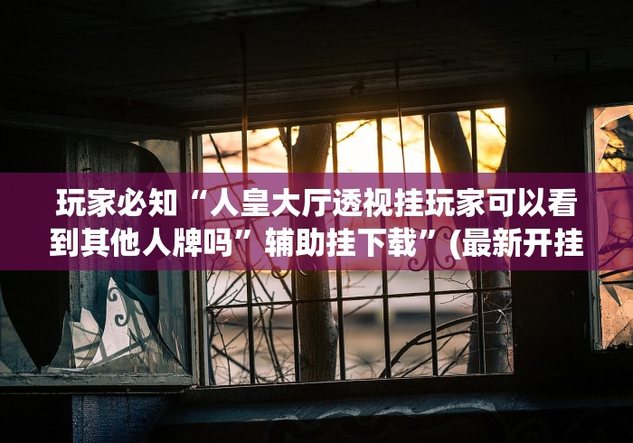 玩家必知“人皇大厅透视挂玩家可以看到其他人牌吗”辅助挂下载”(最新开挂教程)