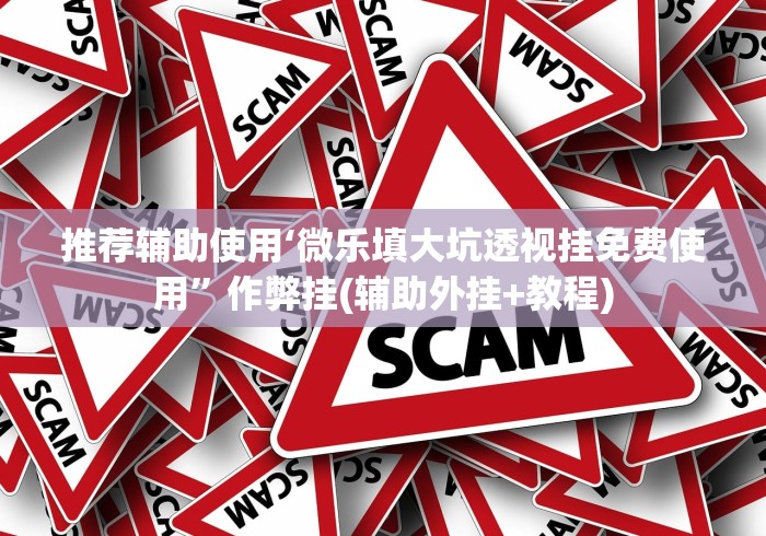 推荐辅助使用‘微乐填大坑透视挂免费使用	”作弊挂(辅助外挂+教程)