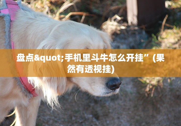 盘点"手机里斗牛怎么开挂”(果然有透视挂)