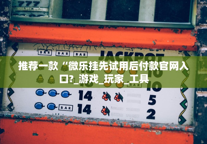 推荐一款“微乐挂先试用后付款官网入口?_游戏_玩家_工具