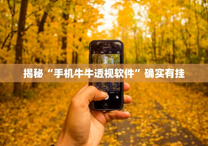 揭秘“手机牛牛透视软件”确实有挂