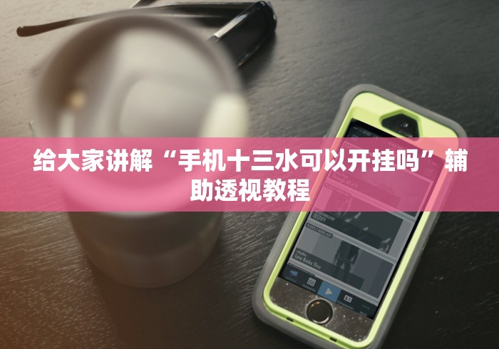 给大家讲解“手机十三水可以开挂吗”辅助透视教程