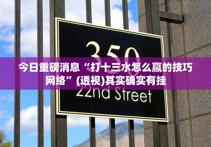 今日重磅消息“打十三水怎么赢的技巧网络	”(透视)其实确实有挂