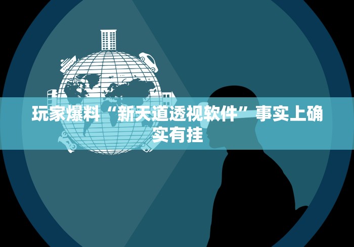 玩家爆料“新天道透视软件”事实上确实有挂