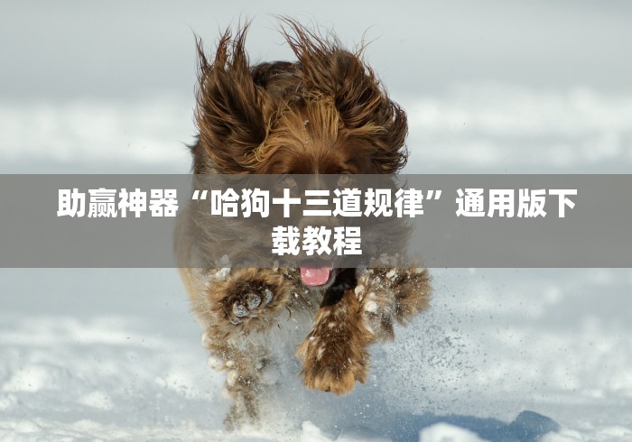助赢神器“哈狗十三道规律	”通用版下载教程