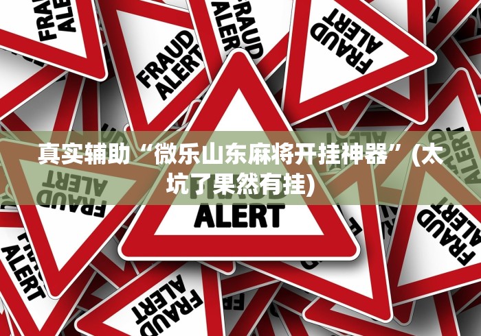 真实辅助“微乐山东麻将开挂神器”(太坑了果然有挂)