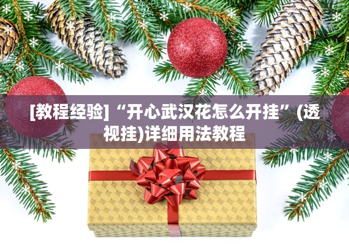 [教程经验]“开心武汉花怎么开挂”(透视挂)详细用法教程
