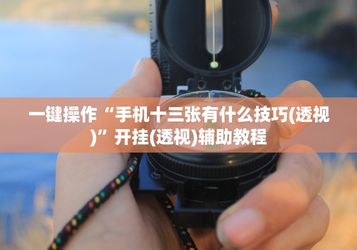 一键操作“手机十三张有什么技巧(透视)”开挂(透视)辅助教程