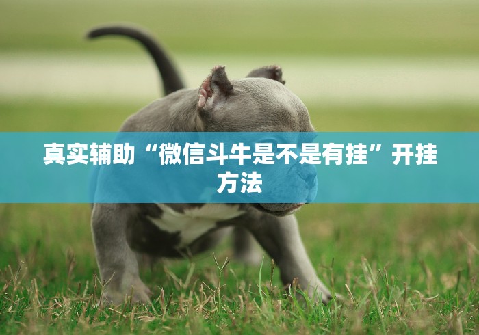 真实辅助“微信斗牛是不是有挂”开挂方法